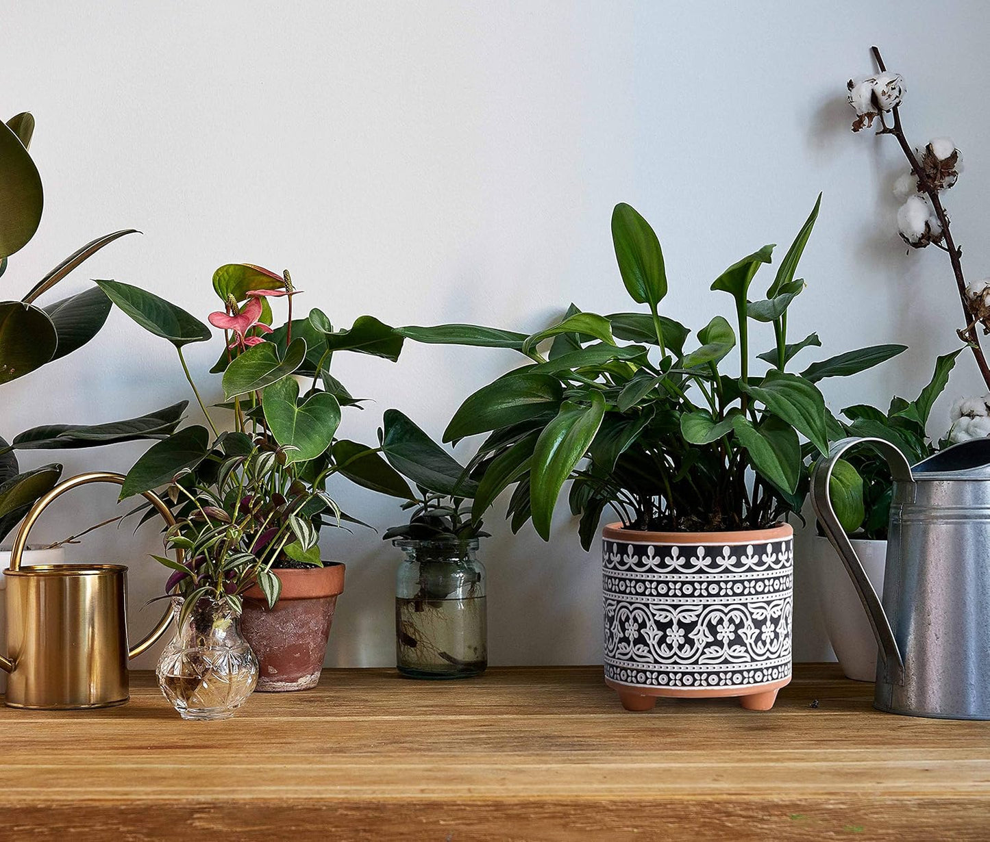 Set of Two Terracotta Planter Pots with Drainage Holes, 4-Inch and 6-Inch, Midnight Lace Design, Terracotta/Black