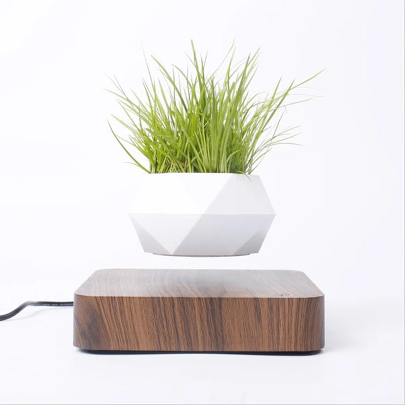Levitating Air Bonsai Pot with Magnetic Suspension - Floating Plant Planter for Desk Decor