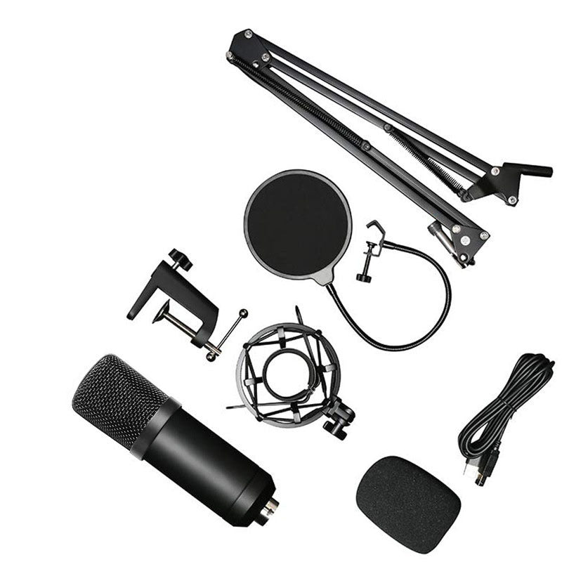 Professional Microphone Kit