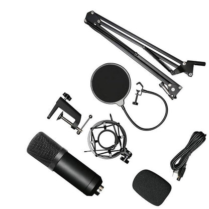 Professional Microphone Kit
