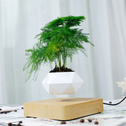 Levitating Air Bonsai Pot with Magnetic Suspension - Floating Plant Planter for Desk Decor