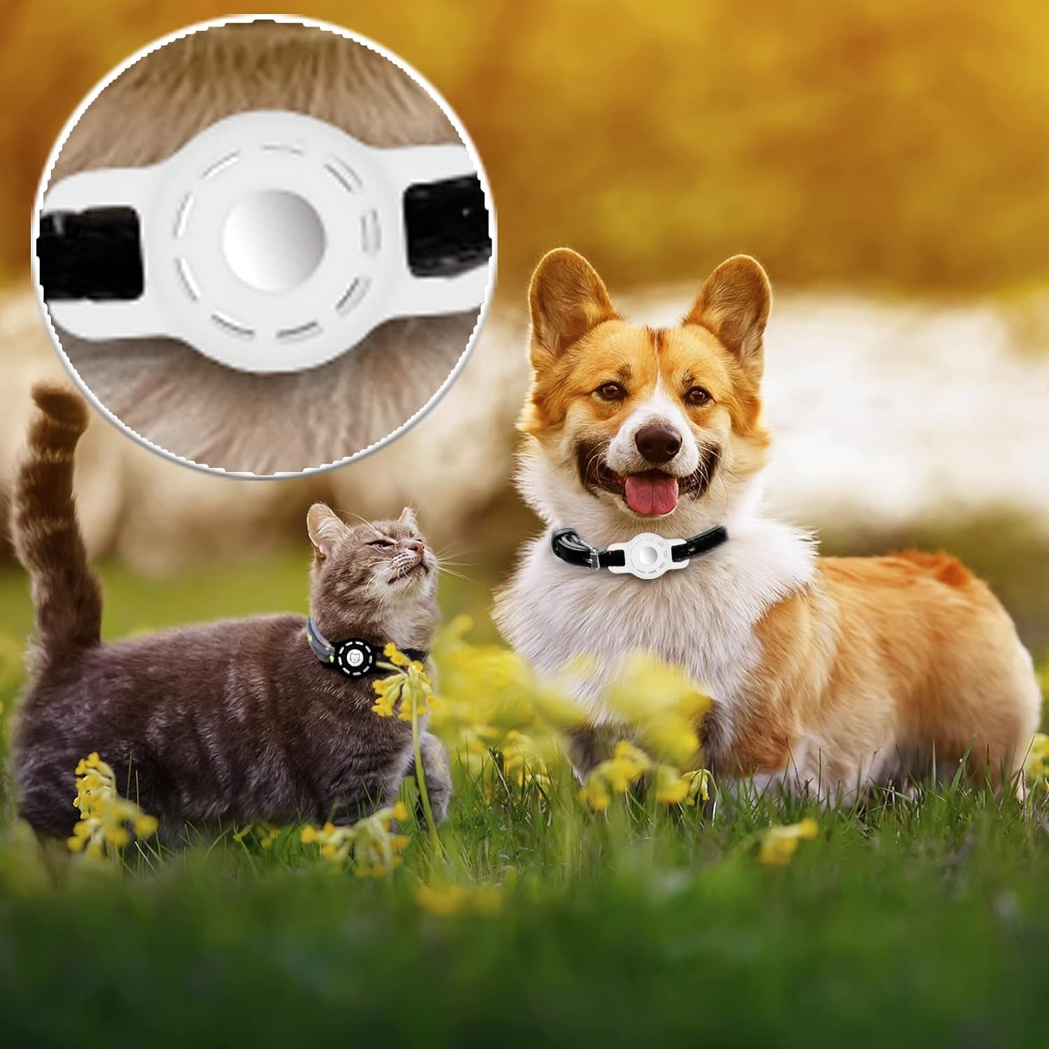 AirTag Cat and Small Dog Collar Holder - 2 Pack Protective Holders for Apple AirTag (Fits Collars up to 1/2 Inch)