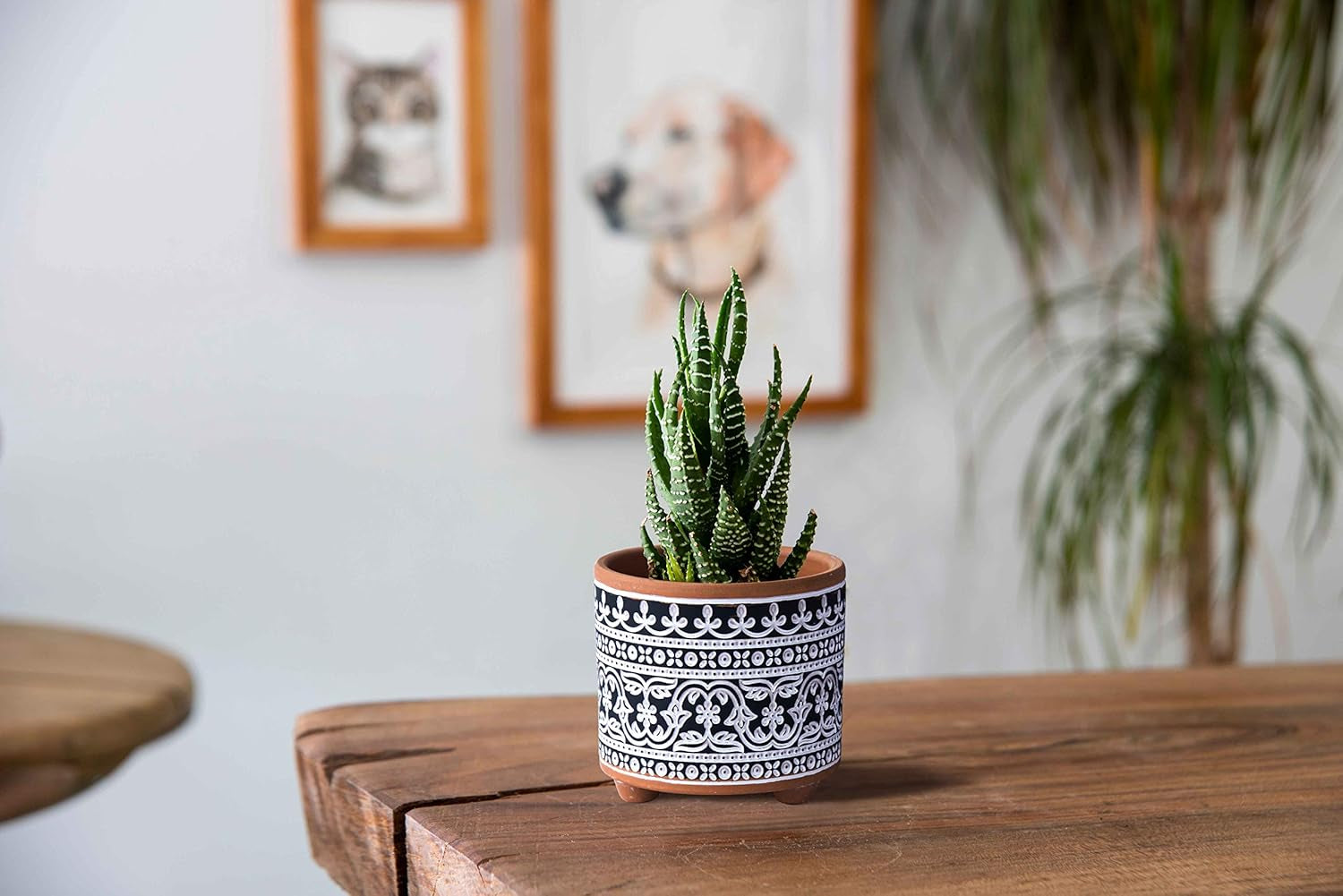 Set of Two Terracotta Planter Pots with Drainage Holes, 4-Inch and 6-Inch, Midnight Lace Design, Terracotta/Black