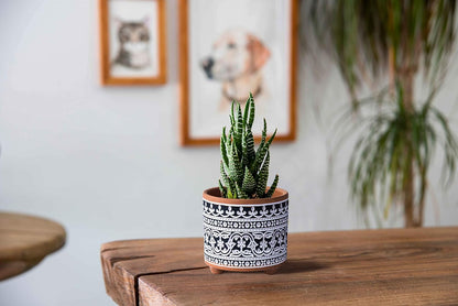 Set of Two Terracotta Planter Pots with Drainage Holes, 4-Inch and 6-Inch, Midnight Lace Design, Terracotta/Black