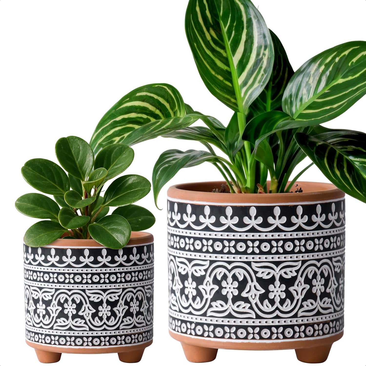 Set of Two Terracotta Planter Pots with Drainage Holes, 4-Inch and 6-Inch, Midnight Lace Design, Terracotta/Black