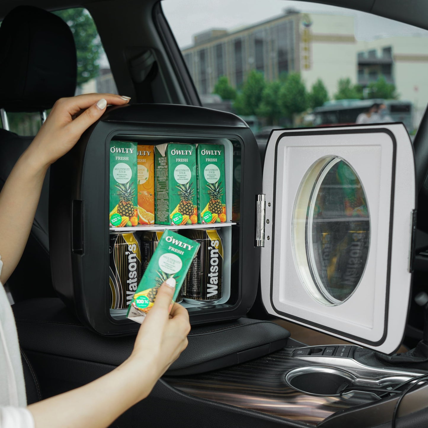 Chic & Versatile Mini Fridge - Retro Beverage Cooler & Warmer for Home, Office, and Outdoor Fun (9 Liters)