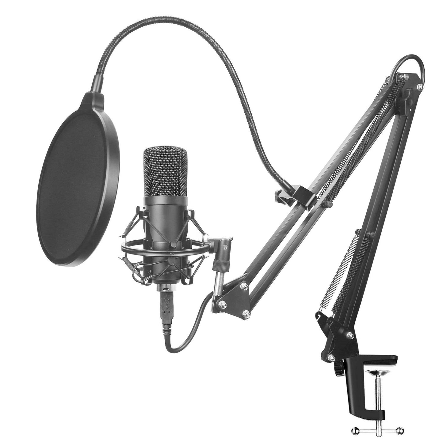 Professional Microphone Kit