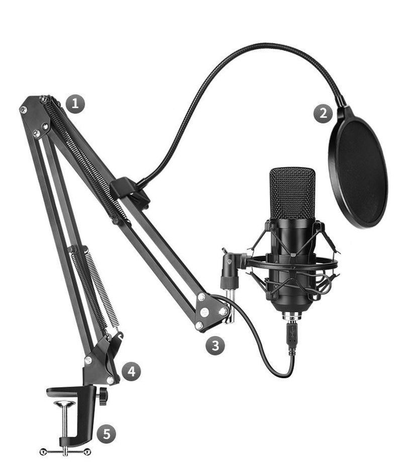 Professional Microphone Kit