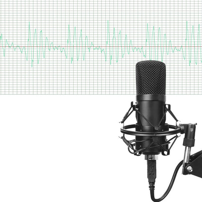 Professional Microphone Kit
