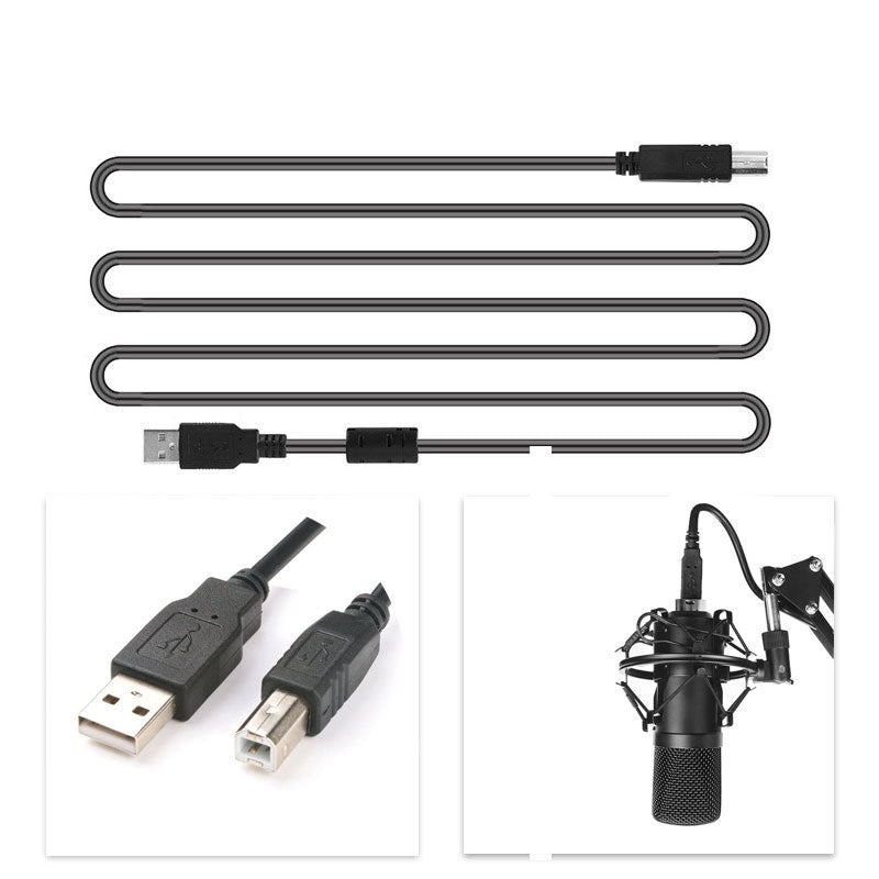 Professional Microphone Kit