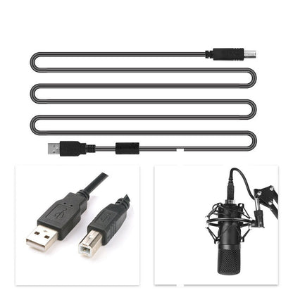 Professional Microphone Kit