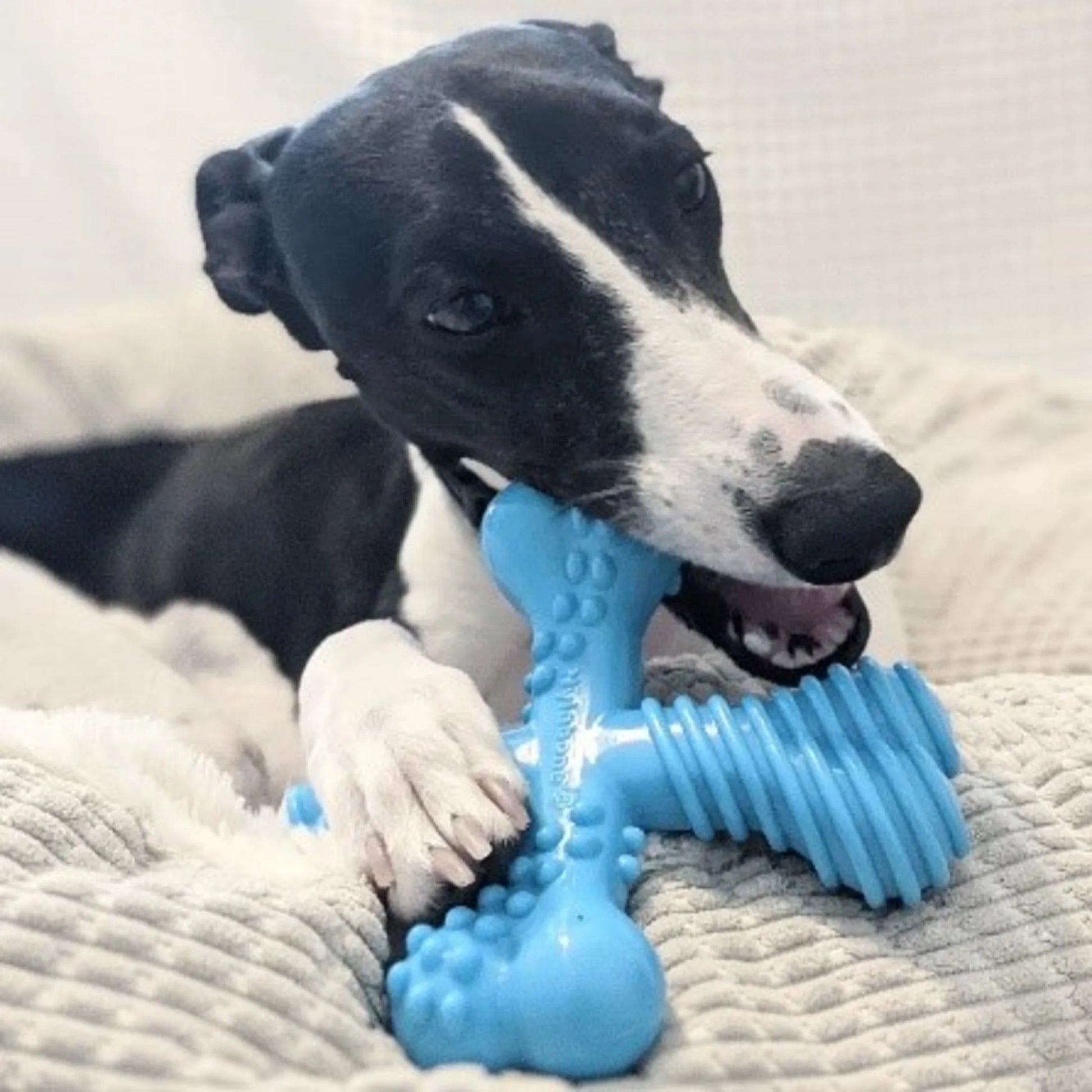 Ultimate Power Chew Comfort Hold X Bone Dog Toy - Beef Flavor for Large Dogs - Durable Chew Toy for Extreme Chewers