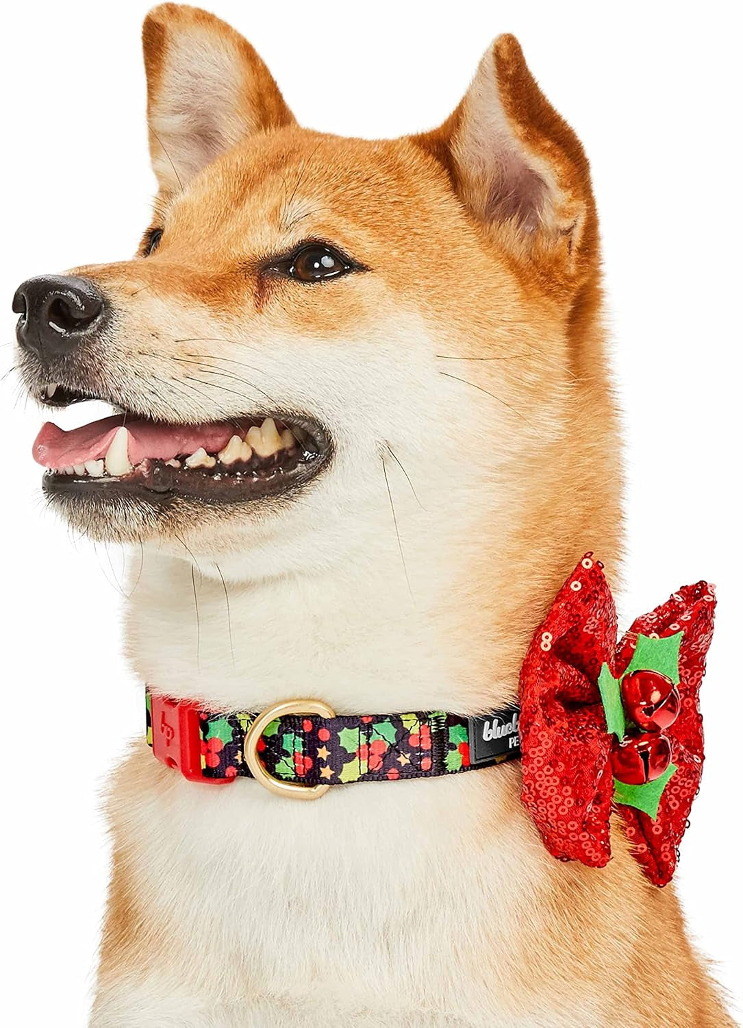 Christmas Holly Dog Collar with Bowtie, Adjustable 12"-16" Neck, Festive Collar for Small Dogs