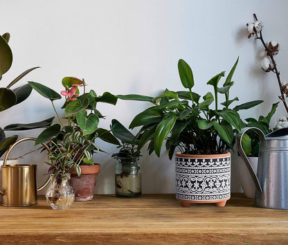 Set of Two Terracotta Planter Pots with Drainage Holes, 4-Inch and 6-Inch, Midnight Lace Design, Terracotta/Black