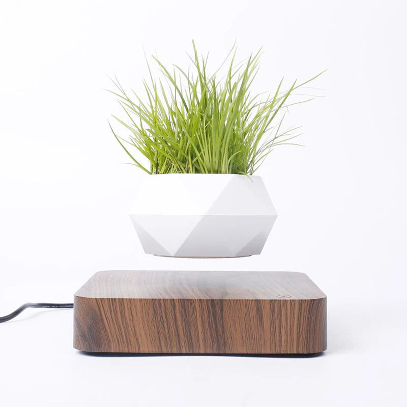 Levitating Air Bonsai Pot with Magnetic Suspension - Floating Plant Planter for Desk Decor